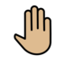 Raised Back Of Hand: Medium-light Skin Tone Emoji Copy Paste ― 🤚🏼 - openmoji