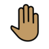 Raised Back Of Hand: Medium Skin Tone Emoji Copy Paste ― 🤚🏽 - openmoji