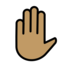 Raised Hand: Medium Skin Tone Emoji Copy Paste ― ✋🏽 - openmoji