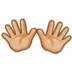 Open Hands: Medium-light Skin Tone Emoji Copy Paste ― 👐🏼 - samsung
