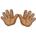 Open Hands: Medium Skin Tone Emoji Copy Paste ― 👐🏽 - samsung
