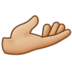 Palm Up Hand: Medium-light Skin Tone Emoji Copy Paste ― 🫴🏼 - samsung