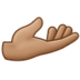 Palm Up Hand: Medium Skin Tone Emoji Copy Paste ― 🫴🏽 - samsung