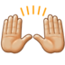 Raising Hands: Medium-light Skin Tone Emoji Copy Paste ― 🙌🏼 - samsung